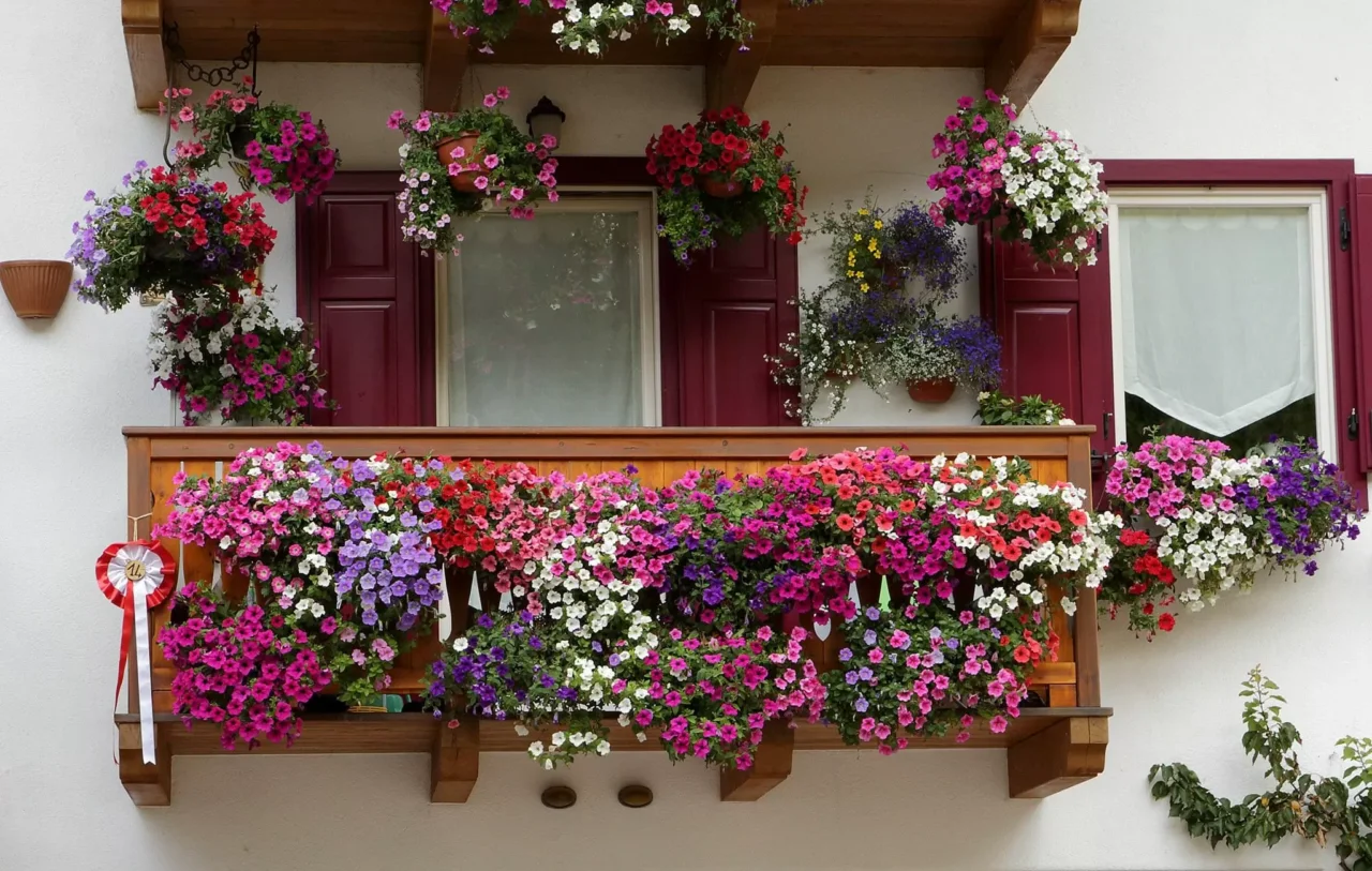 Il trucco semplice per raddoppiare la durata delle tue piante in casa e sul balcone