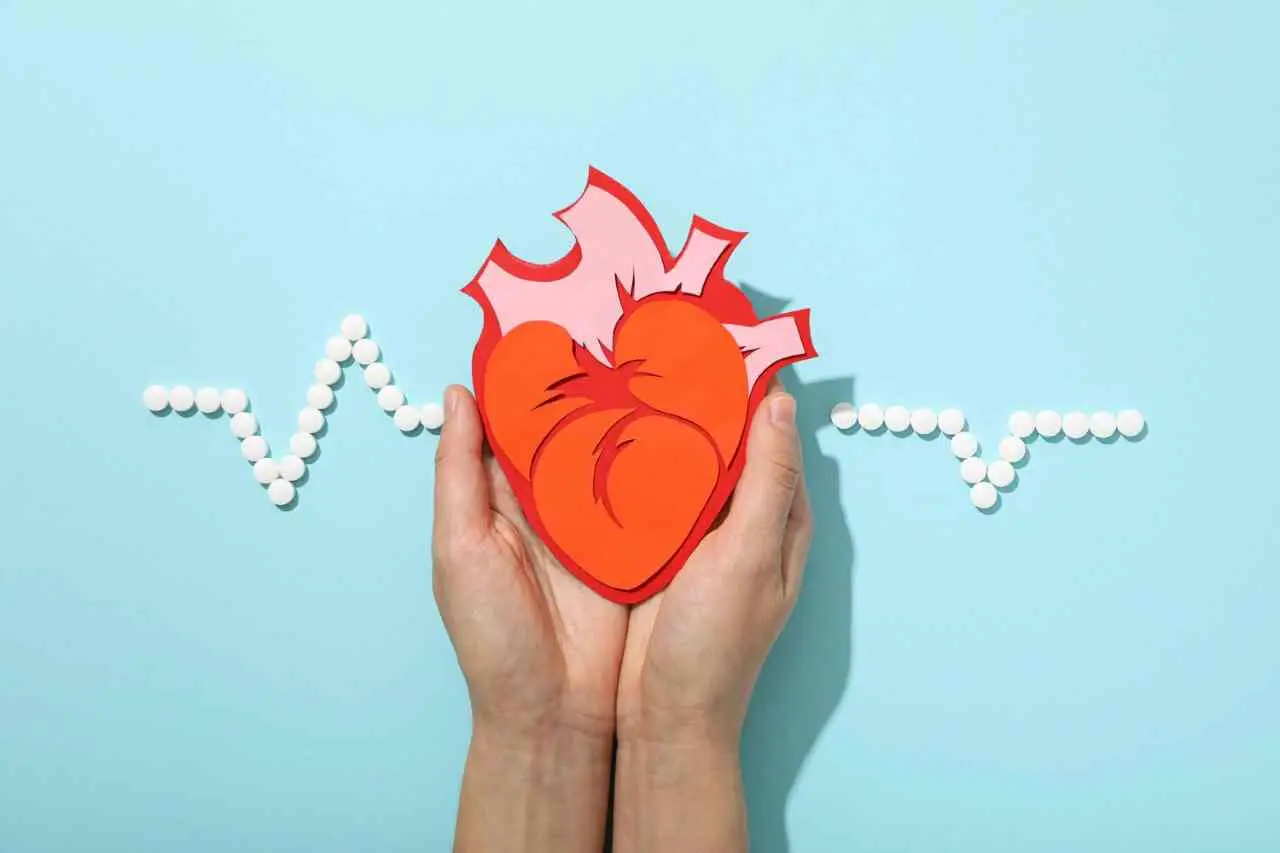 Non solo il cuore: ecco cosa fa davvero il tuo apparato cardiovascolare e come tenerlo sano